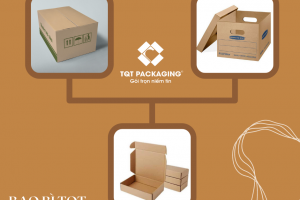 Lý do nên chọn mua thùng carton 3 lớp giá rẻ tại TQT