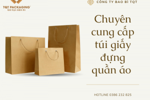 Túi giấy đựng quần áo