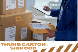 Hộp carton ship cod