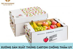 Xưởng sản xuất thùng carton chống thấm uy tín chất lượng