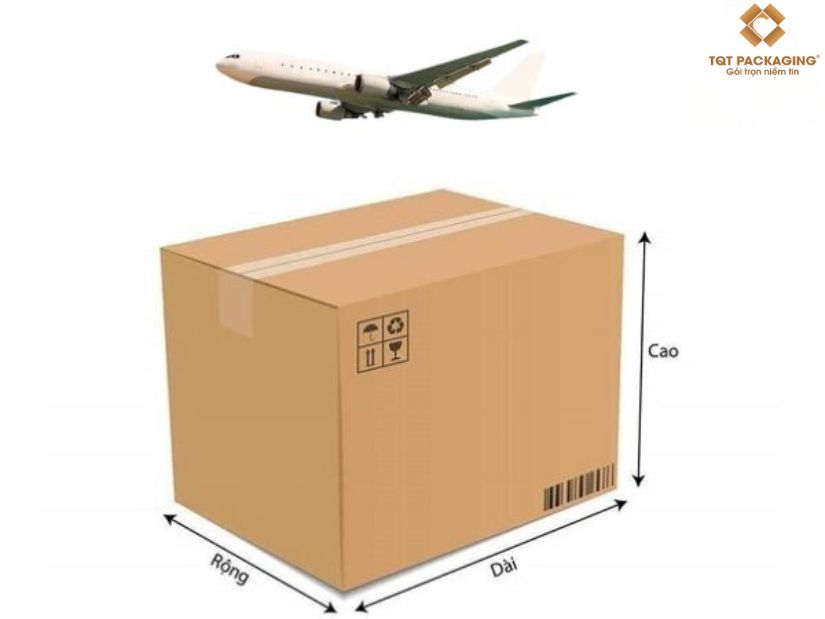 Lý do nên sử dụng thùng carton đi máy bay?