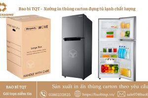 Địa chỉ in thùng carton đựng tủ lạnh chất lượng uy tín tại HN, TPHCM