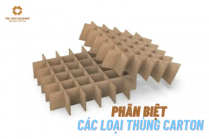 Hướng dẫn cách phân biệt các loại thùng carton phổ biến