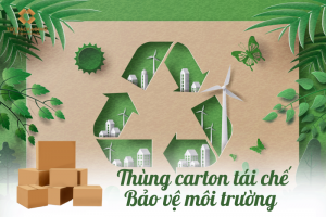 Xu hướng sử dụng thùng carton tái chế – Bảo vệ môi trường