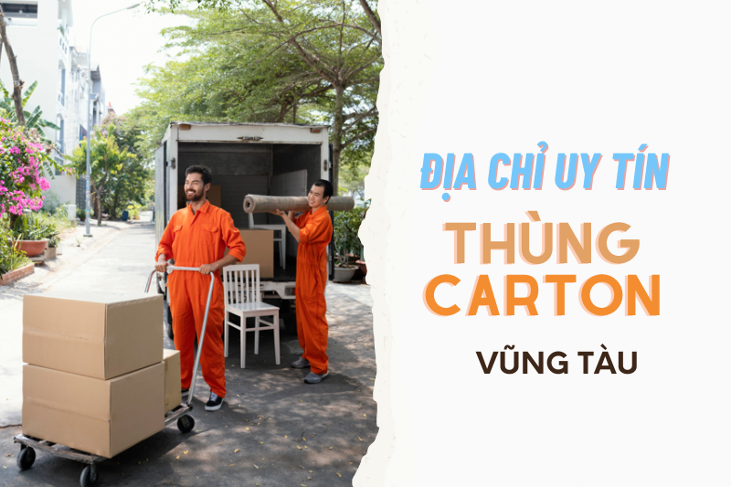 thùng carton vũng tàu 1