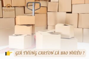 Tổng hợp các yếu tố ảnh hưởng đến giá thùng carton trong năm tới