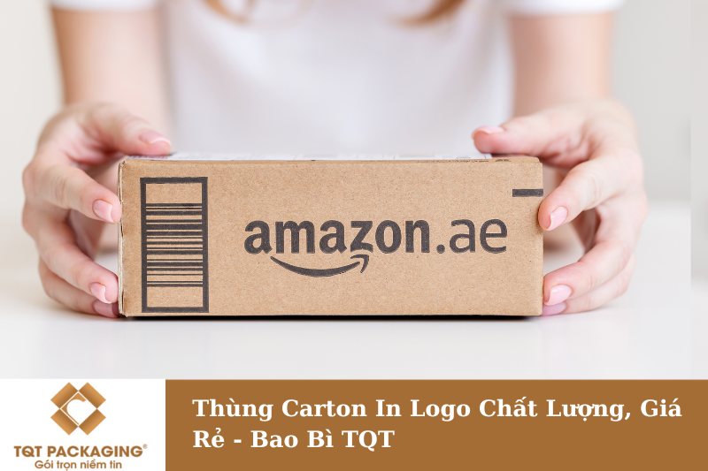 Thùng Carton In Logo Chất Lượng, Giá Rẻ - Bao Bì TQT